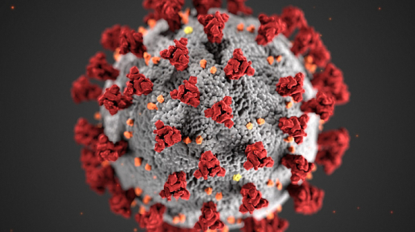 Нов щам на коронавируса в Европа, включително и в България