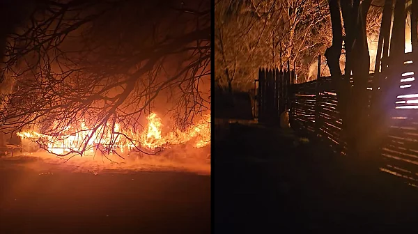 Пожар в музей на открито във Варна, загинаха седем коня