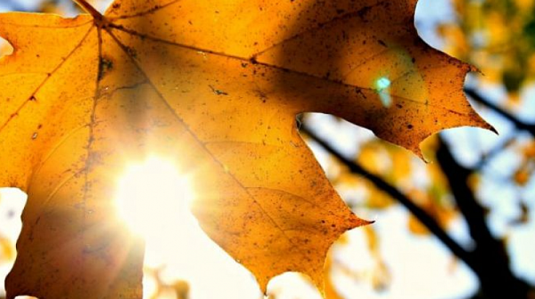 Слънчева сряда, температури до 17 градуса