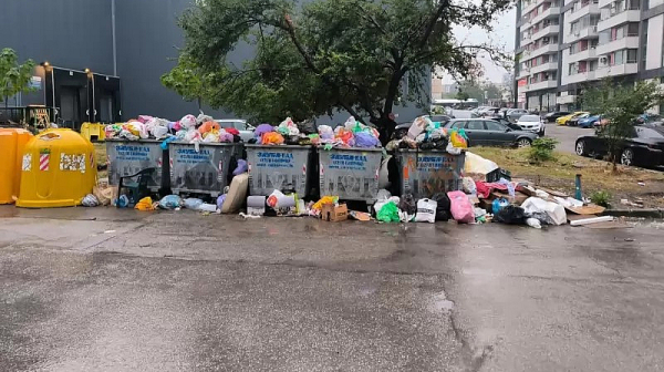 Край на кризата с цветните контейнери: „Екобулпак“ подновява извозването