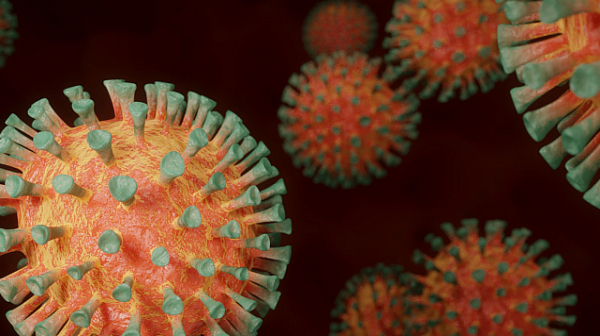 Лондоски институт с разследване: Станал ли е коронавирусът по-заразен с времето?