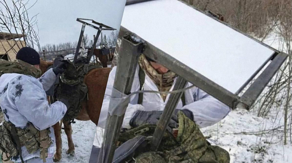 Руска технология: На фронта започнаха да използват коне за транспортиране на терминали на Starlink*