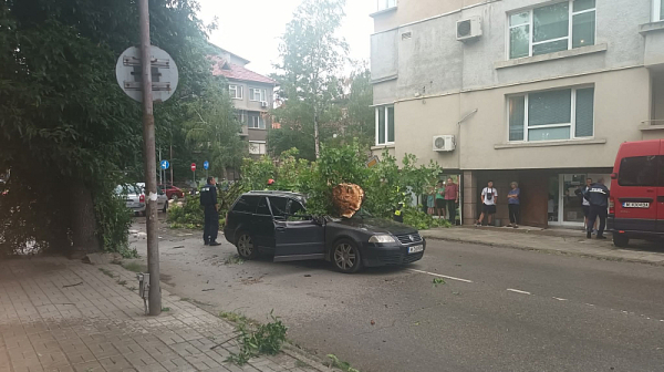 Силни летни бури над страната: щети, прекъснат ток и паднали дървета