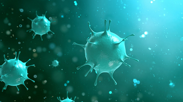 СЗО: Новият коронавирус е от естествен произход