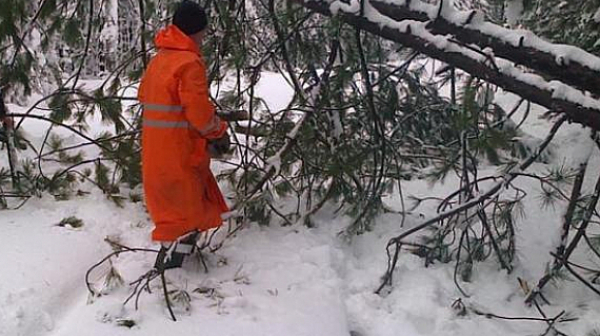 Снегът блокира хижари и хора на Витоша