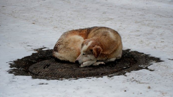 Кучи студ, температури до минус 10 градуса