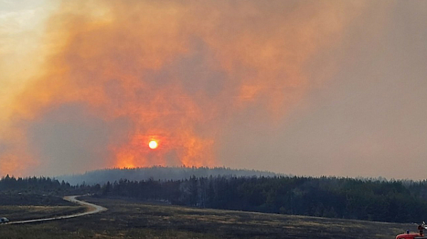 Пожар гори край Кирково. Огънят е обхванал над 20 км