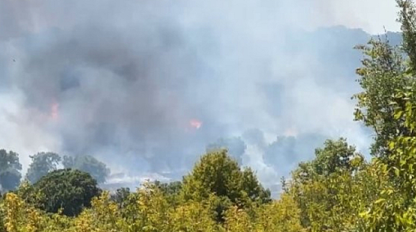 Ситуацията в Ивайловградско се нормализира: Пожарът между селата Свирачи и Орешино е напълно овладян