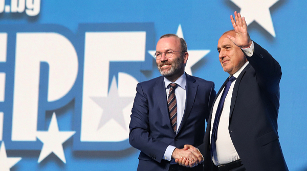 FacktCheck: Освиркват ли евродепутатите Манфред Вебер заради Бойко Борисов?