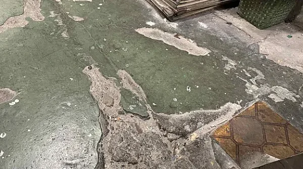 След ремонти за милиони: Националната библиотека с позиция за течовете