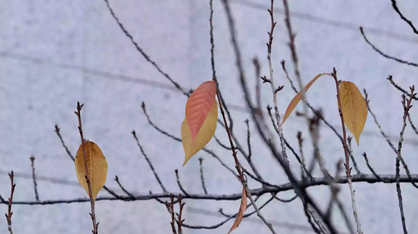 Слънчева неделя, облаци на североизток