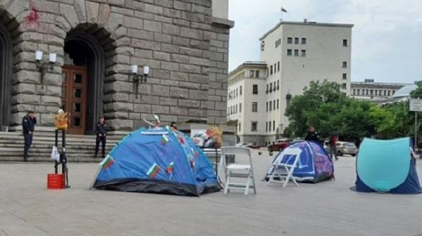 Протестиращите са непреклонни: Вдигат отново палатки в Триъгълника на властта