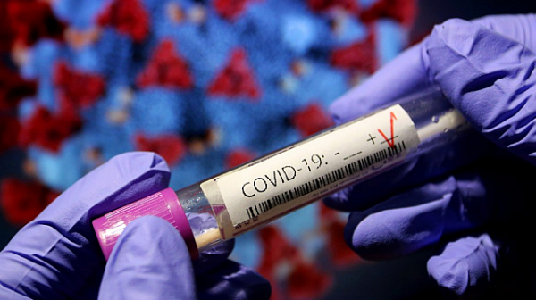 8142 са новите случаи на коронавирус у нас