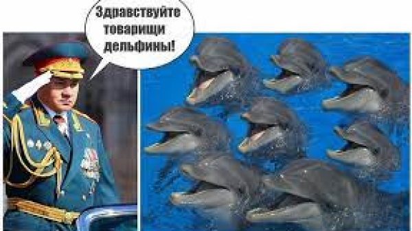 Кой се издъни за ЧРД на Путин с Кримския мост - генералите или делфините?