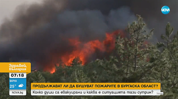 Огнена стихия: Пожарът край село Изворище е локализиран