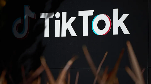 Достъпът до TikTok в Албания ще бъде блокиран за една година от четвъртък