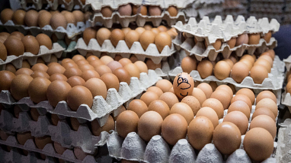 Средната цена за брой яйце достигна 56 стотинки