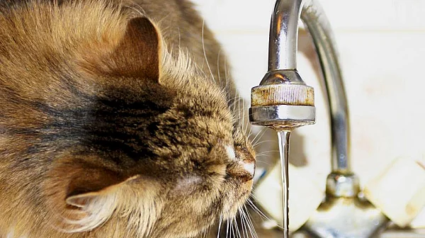 Нова цел на руските удари в Украйна – водоснабдяването на селищата