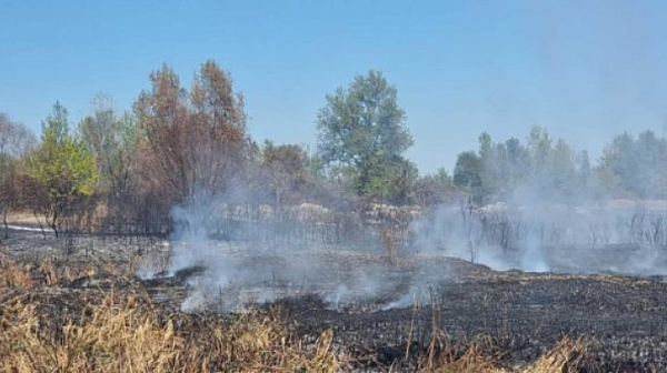 РИОСВ-Плевен е против запръстяването на тлеещи огнища при блатата край Ясен