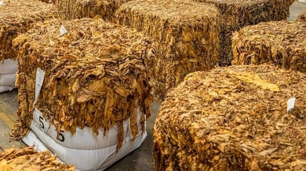 Тон насипен тютюн откриха румънски граничари в български микробус