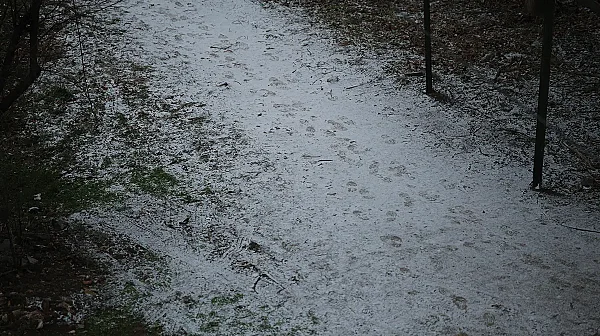 Оранжев код за дъжд утре, идната седмица ще вали сняг