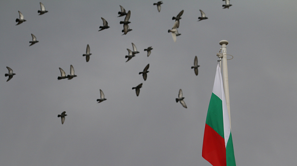 България се включва в делото на Украйна срещу Русия за геноцида