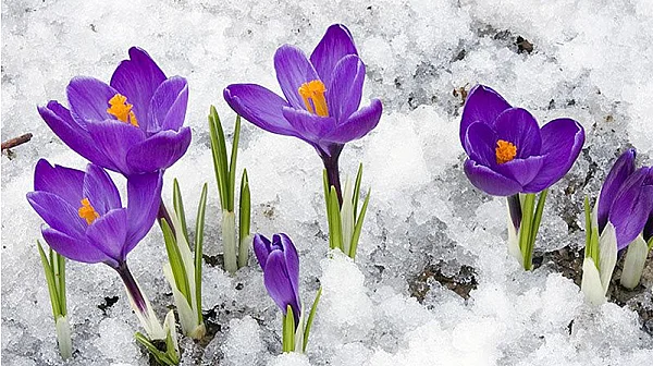 Между зимата и пролетта: Март е време на суеверия, обичаи и промяна