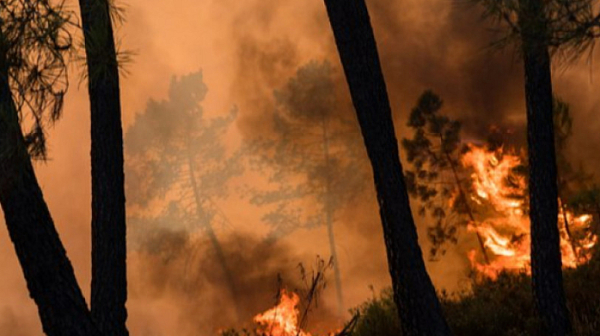 Положителна развръзка: Пожарът в Рила е под контрол, върви към пълно утихване
