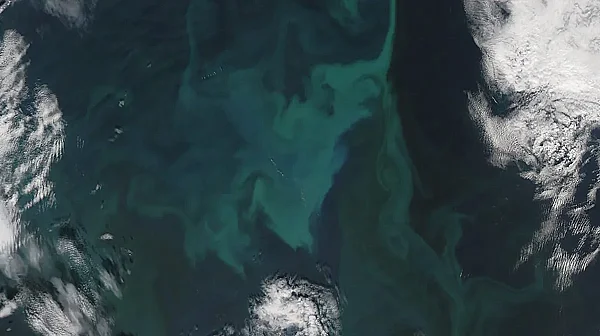 Гълфстрийм се измества на север, заплашва Европа с климатична катастрофа