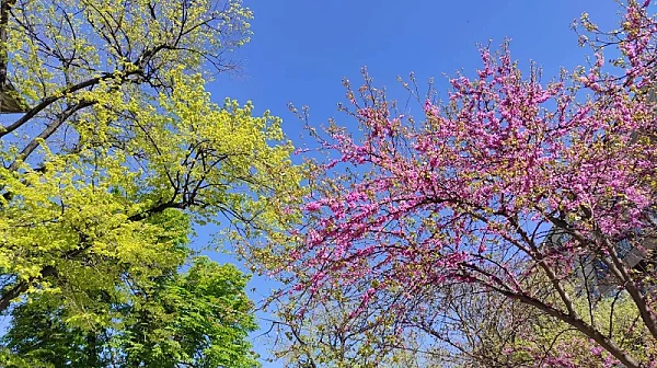 Честита първа пролет! Време за повече светлина и промяна