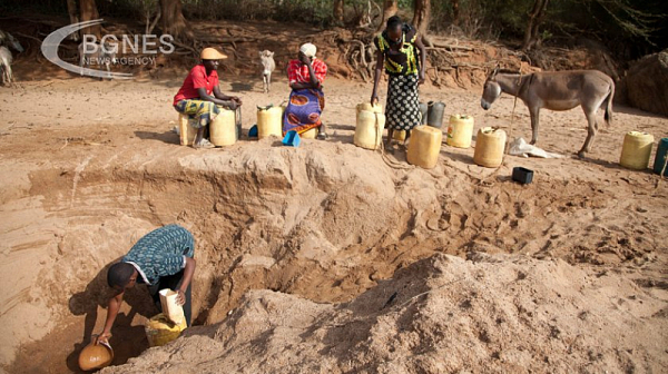 Проучване разкри какво предизвика сушата в Африканския рог