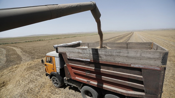 Аграрният министър иска ЕК да задейства кризисен резерв в подкрепа на родните зърнопроизводители