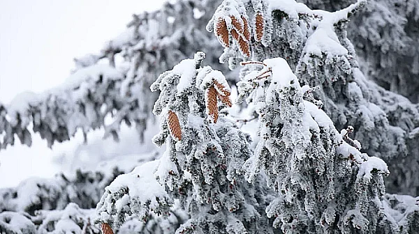 Оранжев код за четири области и жълт за още 19 заради снеговалежи, поледици и силен вятър