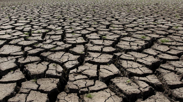 ООН предупреди, че сушата може да е ”следващата пандемия”