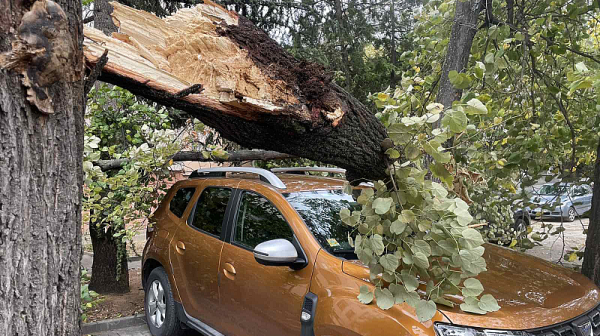 Ураганен вятър в страната: Паднала мазилка, счупени дървета и премазани автомобили