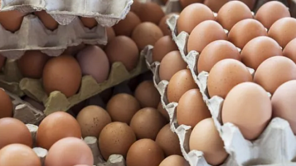 Измама с вносни яйца и пилешко месо
