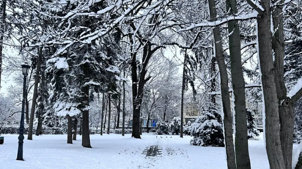 Сняг за Нова година