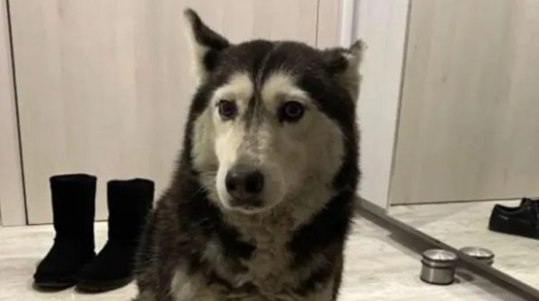 Случаят „Мая“: Парична гаранция от 5000 лв. за д-р Цоневски