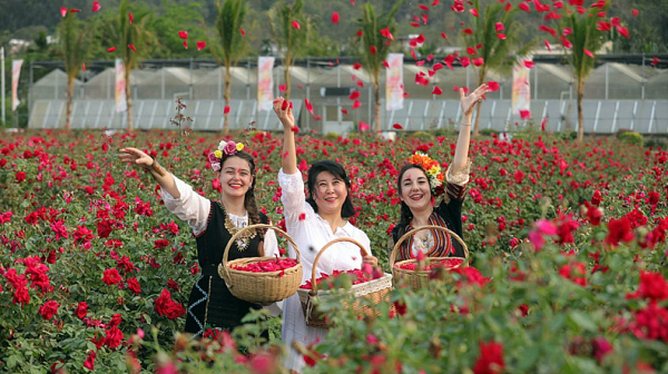 Песента „Бре, воденичарю“ стана хит на Международния фестивал на розата в гр. Саня, Китай