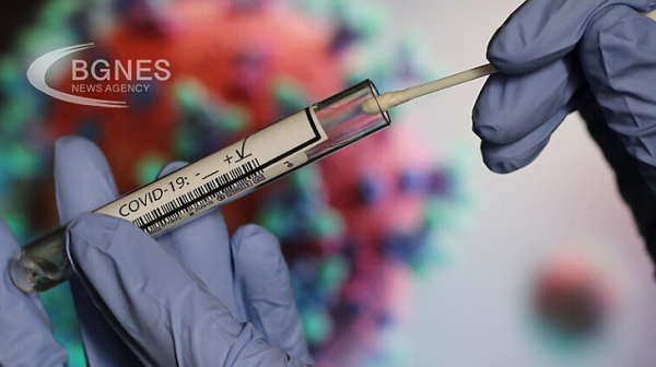 35 са новорегистрираните случаи на коронавирус у нас