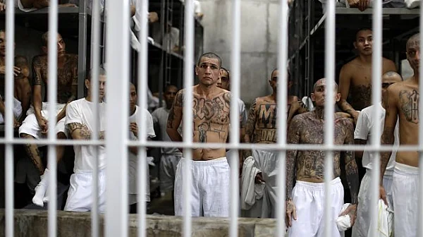 Администрацията на Тръмп връща разстрела като начин за изпълнение на смъртно наказание