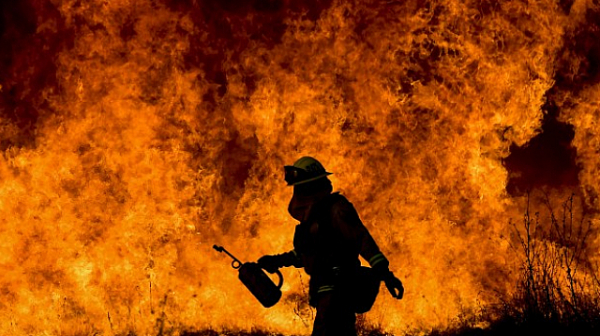 В четири общини в Хасковоско е обявено бедствено положение заради пожари