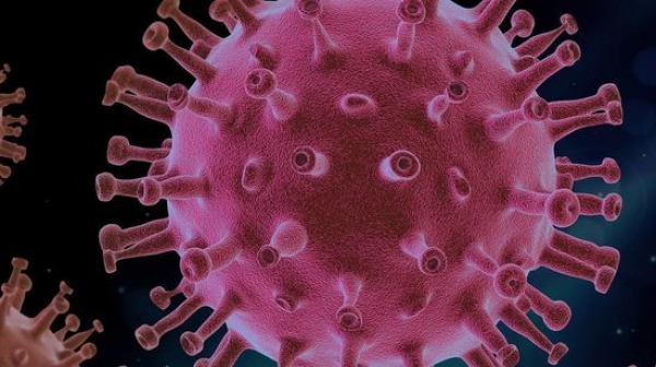 47 са новите случаи на коронавирус