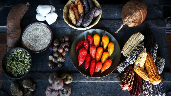 Дубай представи първия AI готвач в света и „тартар от динозавър“