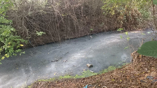 Замърсяването на водите ни: Kазан за ракия превърна в блато река в димитровградско