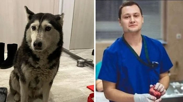 2972 души настояват ВМА да уволни д-р Цоневски за прегазването на кучето Мая