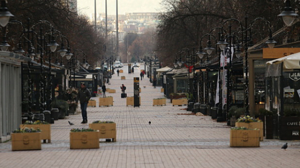 Паднали клони и откъртени огради заради силния вятър в София
