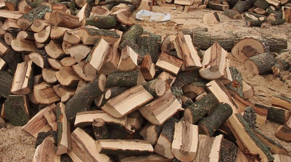 Временна комисия в НС да мъдри как да реши проблемите с дървата за огрев, предлагат от ПП