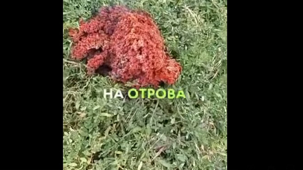 Паника в Якоруда: Тайнствен обект падна от небето