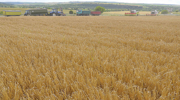 Турция: Споразумението за износ на украинско зърно се подновява за четири месеца